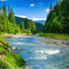 Nature Pattern Painting By Numbers - Image 2